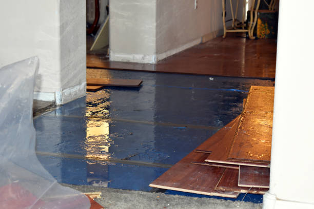 Professional Basement Flood Cleanup technician working in Crossville, TN
